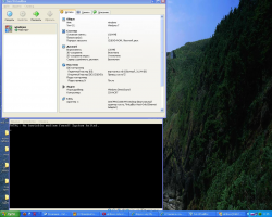проблема с Sun VirtualBox.