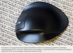 Мышь, как средство передвижения